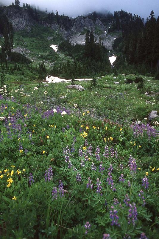 1984-040 Mt Shuksan Aug-1984 02.jpg